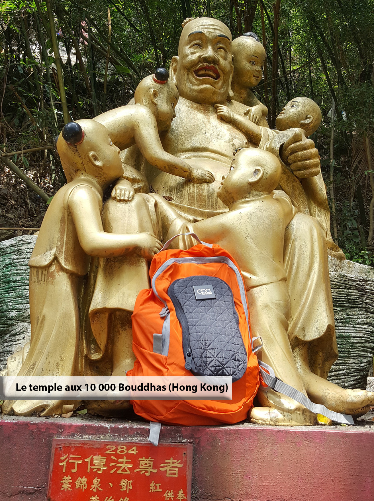 Bouddhas (Hong kong)